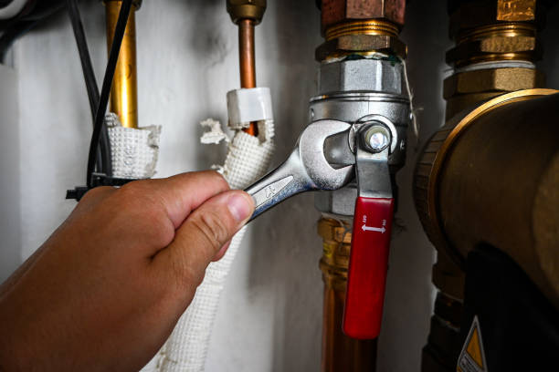 Best Clogged Drain Plumber  in Riley, KS